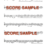 Cello Suite sample2